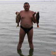  ,  pipin, 47