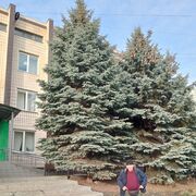 ���������� ����, ���� ������� ����, 62 ����, ������������ ��� ������, ����� � ���������