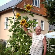   ,   , 84 ,   ,   , c 