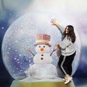  ,   , 31 ,   ,   , c 