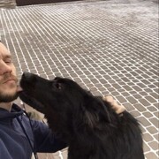 ���������� ����������, ���� ������� ����, 40 ���, ������������ ��� ������, ����� � ���������, c�������� ���������