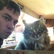 ���������� �������, ���� ������� ������, 36 ���, ������������ ��� ������, ����� � ���������