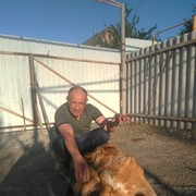  ,   , 62 ,   ,   , c 