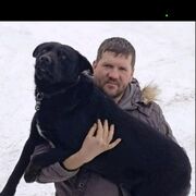 ���������� ������, ���� ������� ������, 47 ���, ������������ ��� ������, ����� � ���������