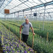 ���������� ������������, ���� ������� Aikaz, 45 ���, ������������ ��� ������, ����� � ���������