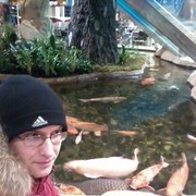 ���������� �����������, ���� ������� ����, 35 ���, ������������ ��� ������, ����� � ���������, c�������� ���������