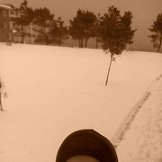 ���������� ������, ���� ������� Gio gio, 29 ���, ������������ ��� ������, ����� � ���������, c�������� ���������