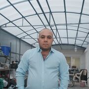  --,   , 43 ,   ,   