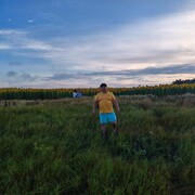 ���������� ��������, ������� �����, 40