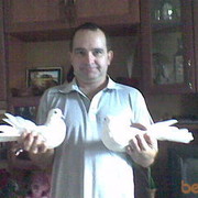  ,   , 52 ,   