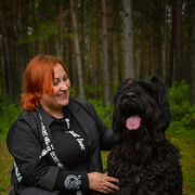 ���������� ����������, ���� ������� ������, 37 ���, ������������ ��� ������, ����� � ���������, c�������� ���������, ���������