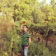 ���������� ������, ���� ������� ����, 41 ���, ������������ ��� ������, ����� � ���������, c�������� ���������