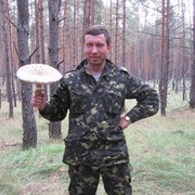 ,   , 55 ,  