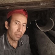  ,  , 44