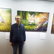 ���������� ������, ���� ������� ��������, 59 ���, ������������ ��� ������, ����� � ���������, c�������� ���������