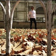 ���������� ������, ���� ������� ������, 42 ����, ������������ ��� ������, ����� � ���������