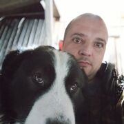 ���������� �����, ���� ������� ����, 40 ���, ������������ ��� ����� � ���������, c�������� ���������