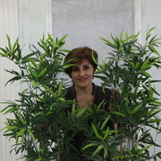  ,   , 63 ,   c 