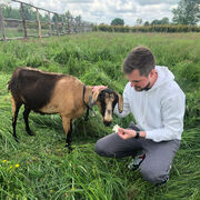 ���������� ����, ���� ������� ���������, 31 ���, ������������ ��� ������, ����� � ���������