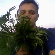  ,   Alex74036, 42 ,  
