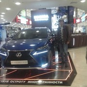 ���������� ������, ���� ������� ������, 41 ���, ������������ ��� ������, ����� � ���������, c�������� ���������