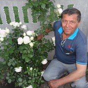  ,   , 71 ,   ,   , c , 
