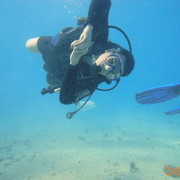 ���������� ��������, ���� ������� ���, 43 ����, ������������ ��� ����� � ���������, c�������� ���������