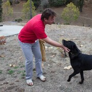 ���������� ������, ���� ������� �����, 61 ���, ������������ ��� ������, ����� � ���������