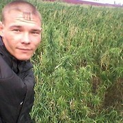 ���������� ����, ���� ������� Nikolai, 29 ���, ������������ ��� ����� � ���������, c�������� ���������