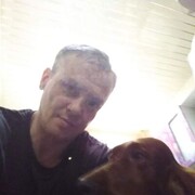  -,   , 48 ,   ,   , c , 