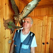 ���������� ������, ���� ������� �����, 50 ���, ������������ ��� ������, ���������