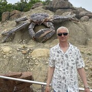  -,   , 51 ,   ,   , c 