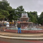 ���������� �����-���������, ���� ������� ��������, 34 ����, ������������ ��� ������, ����� � ���������