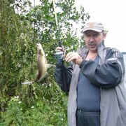  -,   , 66 ,     , c 