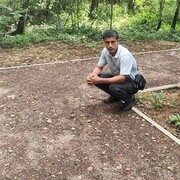 ���������� ������, ���� ������� ��������, 37 ���, ������������ ��� ������, ����� � ���������