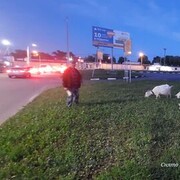 ���������� ����, ���� ������� ����, 30 ���, ������������ ��� ����� � ���������, c�������� ���������