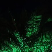  ,   , 80 ,   ,   