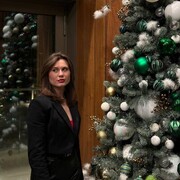 ���������� ������������, ���� ������� Risiick, 31 ���, ������������ ��� ������, ����� � ���������