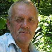  ,   , 66 ,     , c , 