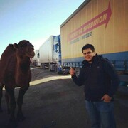 ���������� �������, ���� ������� ������, 34 ����, ������������ ��� ������, ����� � ���������, c�������� ���������