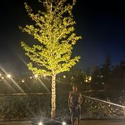  ,   , 67 ,   ,   , c 