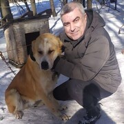 ���������� �����������, ���� ������� ��� ���, 58 ���, ������������ ��� c�������� ���������