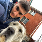 ���������� ������-��-����, ���� ������� �������, 33 ����, ������������ ��� ������, ����� � ���������, c�������� ���������