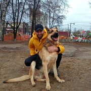 ���������� ������, ���� ������� ���������, 43 ����, ������������ ��� ������, ����� � ���������, c�������� ���������