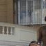  ,   , 34 ,   
