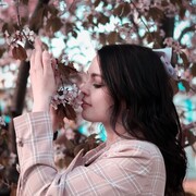  -,   , 25 ,   ,   