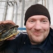 ���������� �������, ���� ������� ��������, 41 ���, ������������ ��� ������, ����� � ���������, c�������� ���������, ���������