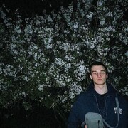 ���������� ����, ���� ����� ������, 22 ����, ������������ 