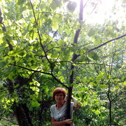  ,   , 58 ,   ,   , c 
