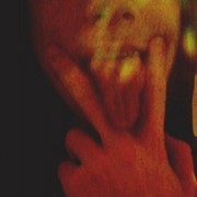 ���������� �������, ���� ������� Ilie, 29 ���, ������������ ��� ������